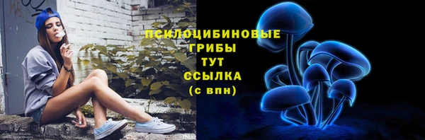 хмурый Каменка