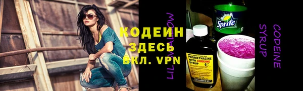 хмурый Каменка