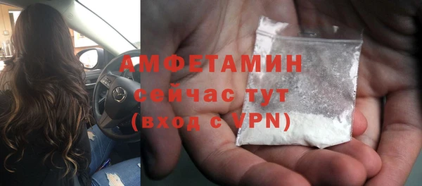 тгк Каменногорск