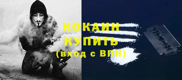тгк Каменногорск