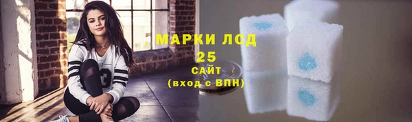 хмурый Каменка