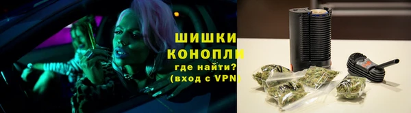 хмурый Каменка