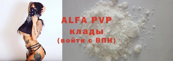 тгк Каменногорск