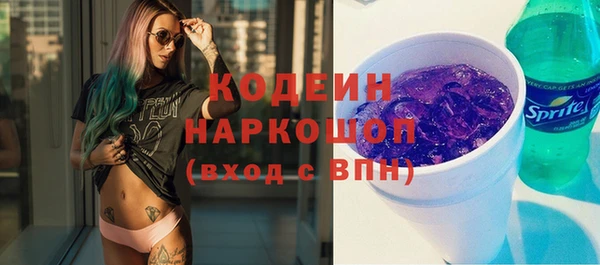 хмурый Каменка